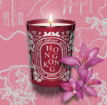 Bougie Parfumée "Hong Kong" Diptyque - Collection City Candles – Image 4
