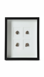 Fragments Naturels (50 x 40 cm)