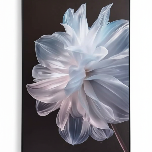 Pétale d'Aurore (120 x 80 cm)