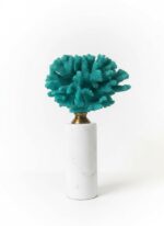 Corail d'Émeraude Blanc