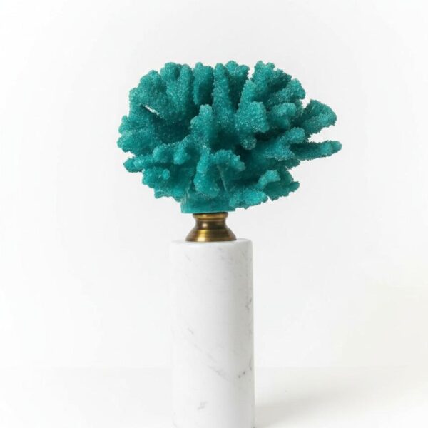 Corail d'Émeraude Blanc